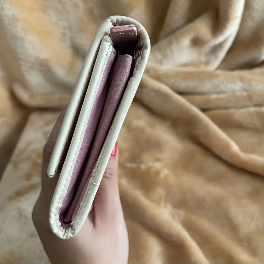 Dior pink trotter wallet
